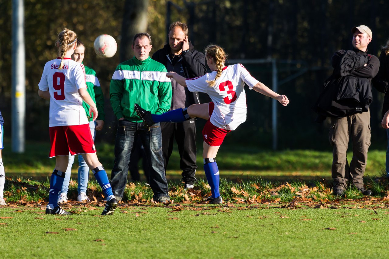 Bild 164 - Frauen Hamburger SV - SV Henstedt Ulzburg : Ergebnis: 0:2